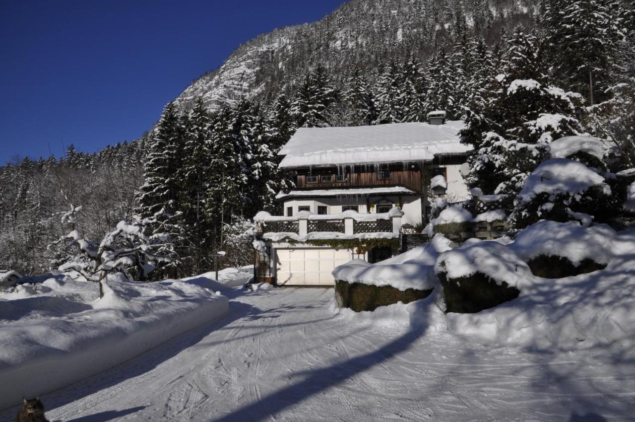 Apartment Stadler Obertraun Bagian luar foto